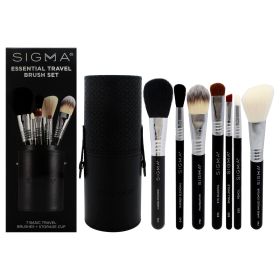 Essential Travel Brush Set